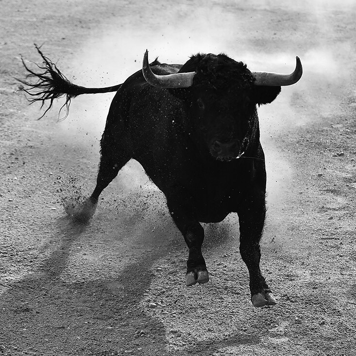 Premierenmotiv „Carmen“ © alberto clemares expósito Stier