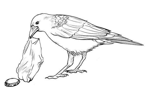 Illustration einer Krähe